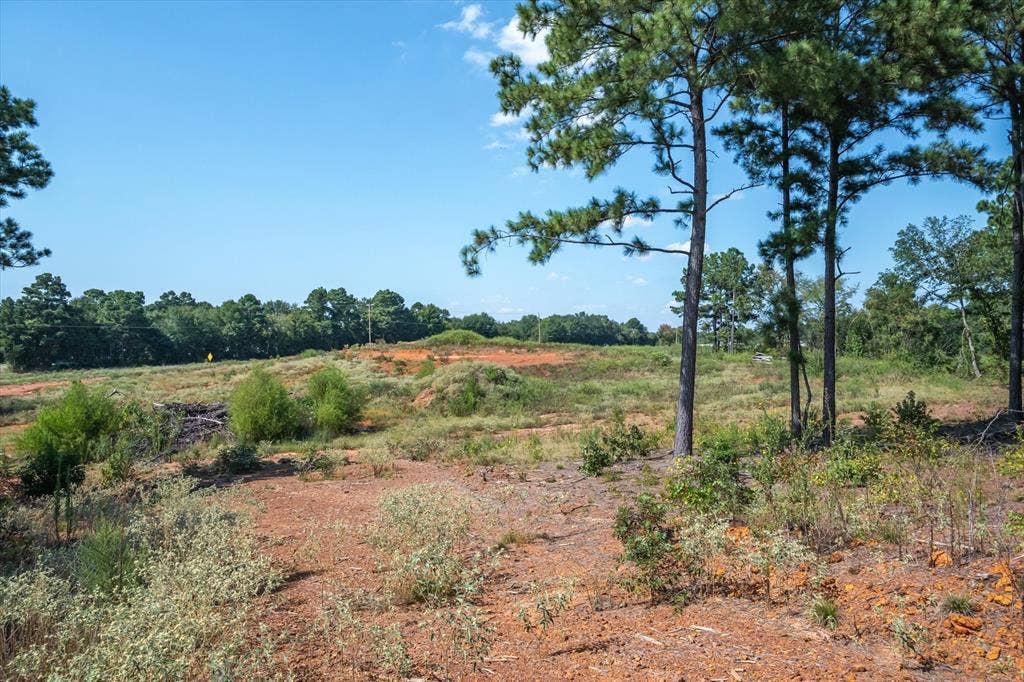 18021 State Highway 155 S, Flint, TX 75762 18021 State Highway 155 S, Flint, TX 75762