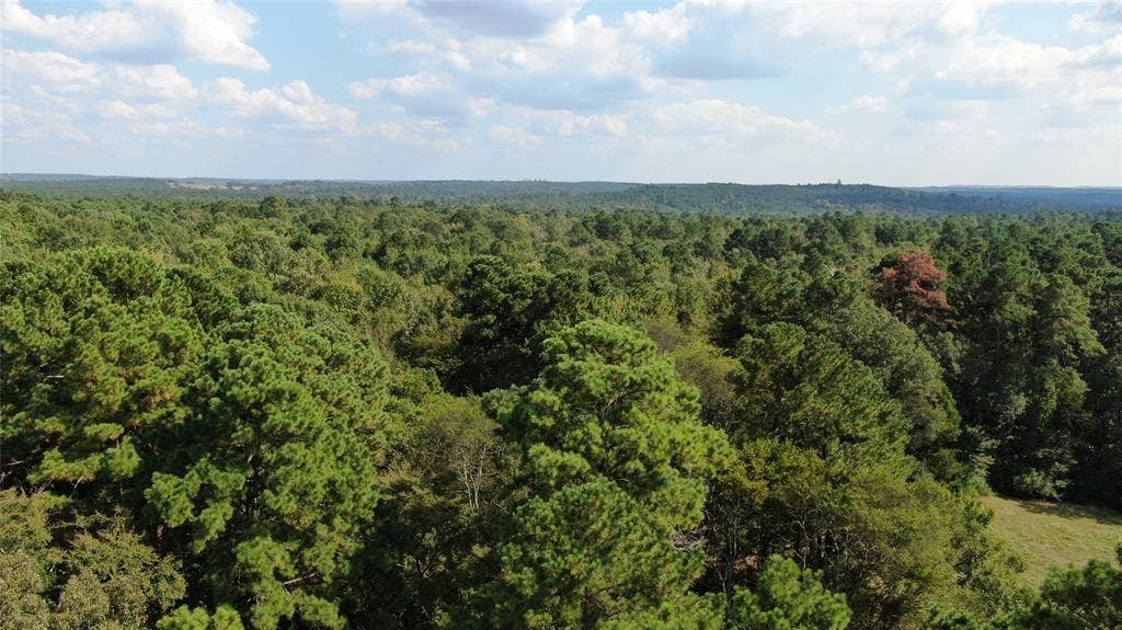 00 County Road 280, Garrison, TX 75946 00 County Road 280, Garrison, TX 75946