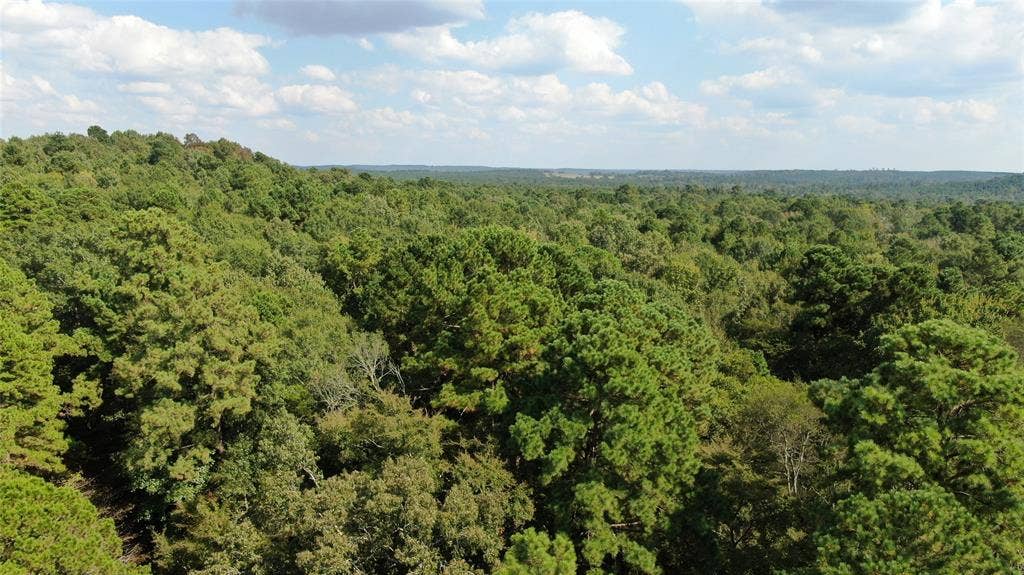 00 County Road 280, Garrison, TX 75946 00 County Road 280, Garrison, TX 75946