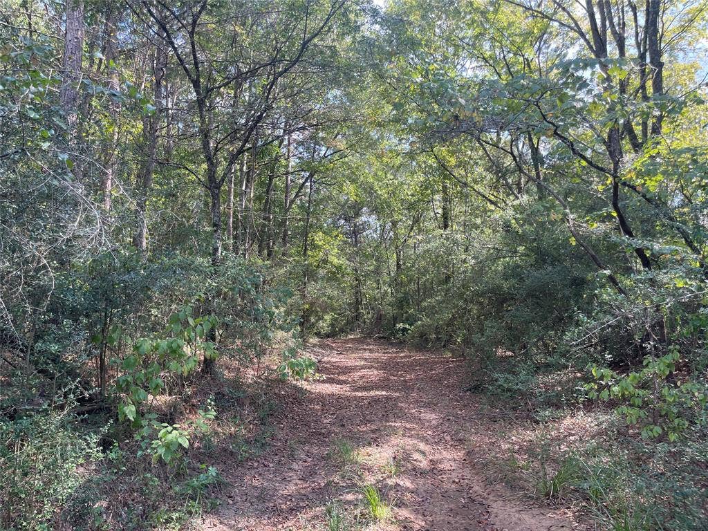 00 County Road 280, Garrison, TX 75946 00 County Road 280, Garrison, TX 75946