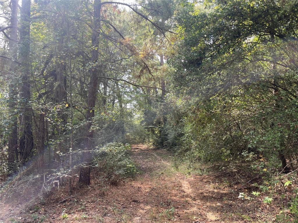 00 County Road 280, Garrison, TX 75946 00 County Road 280, Garrison, TX 75946