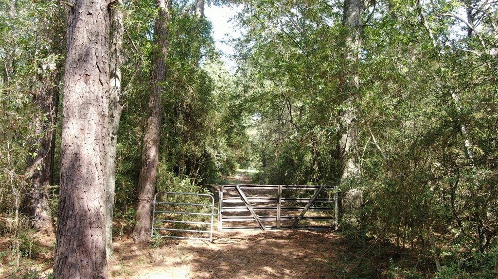 00 County Road 280, Garrison, TX 75946 00 County Road 280, Garrison, TX 75946