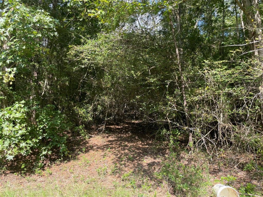 00 County Road 280, Garrison, TX 75946 00 County Road 280, Garrison, TX 75946