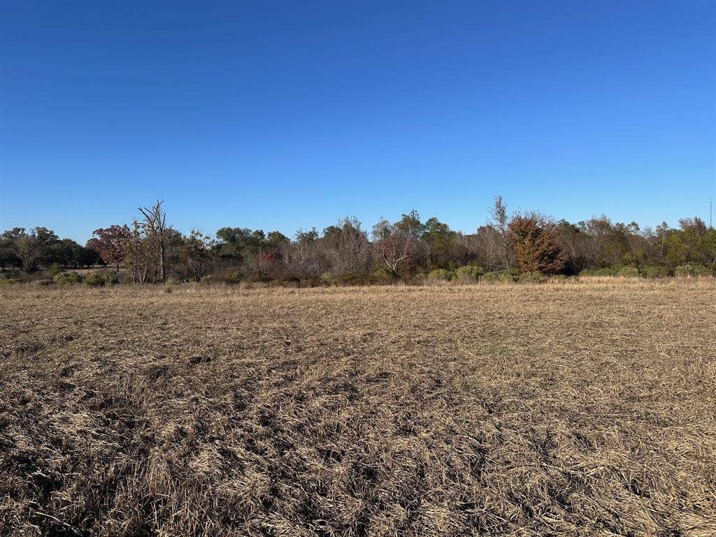 5517 PR 5107, Athens, TX 75752 5517 PR 5107, Athens, TX 75752