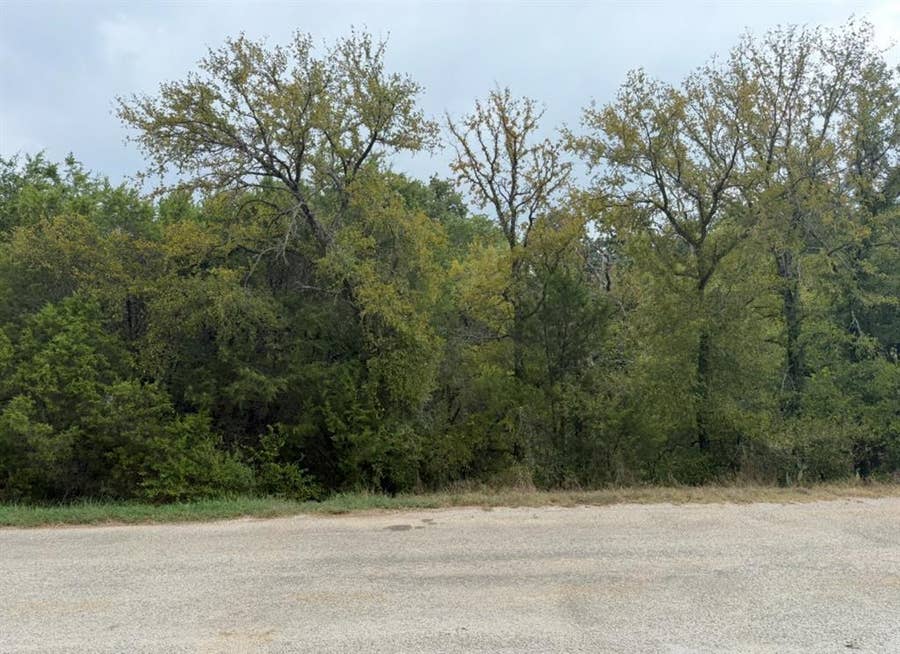 Property photo for 2509 White Oak Trail, Granbury, TX