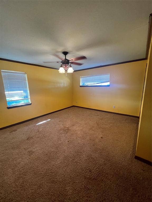 4038 State Highway 351, Abilene, TX 79601 Spare room featuring carpet floors and ornamental molding