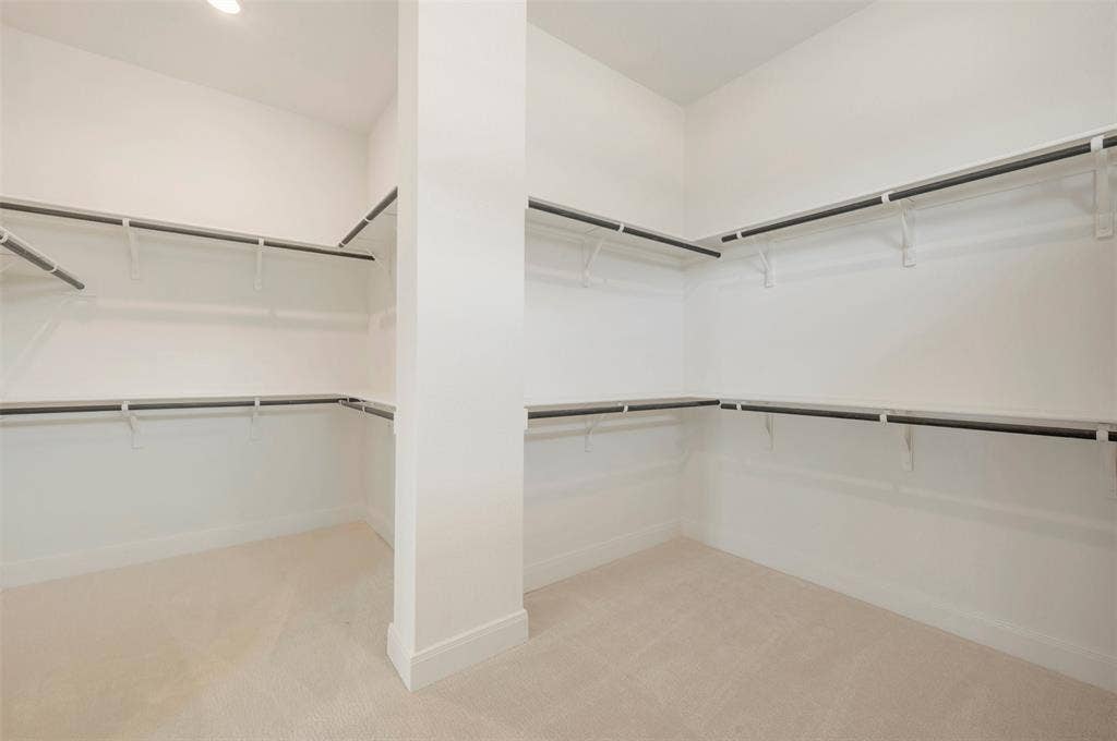 Spacious walk-in closet featuring white walls, light-colored carpeting, multiple shelving units, and clothing rods