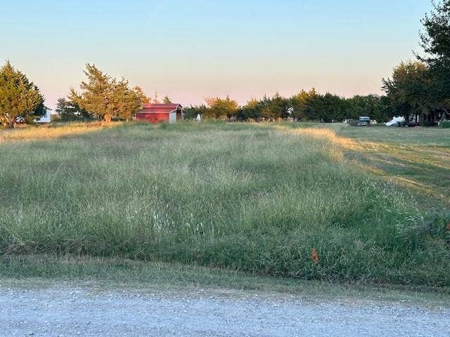 View of yard at dusk