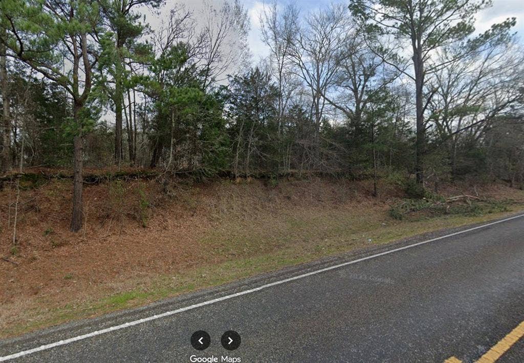 6090 Fm 314 S, Larue, TX 75770 View of asphalt street