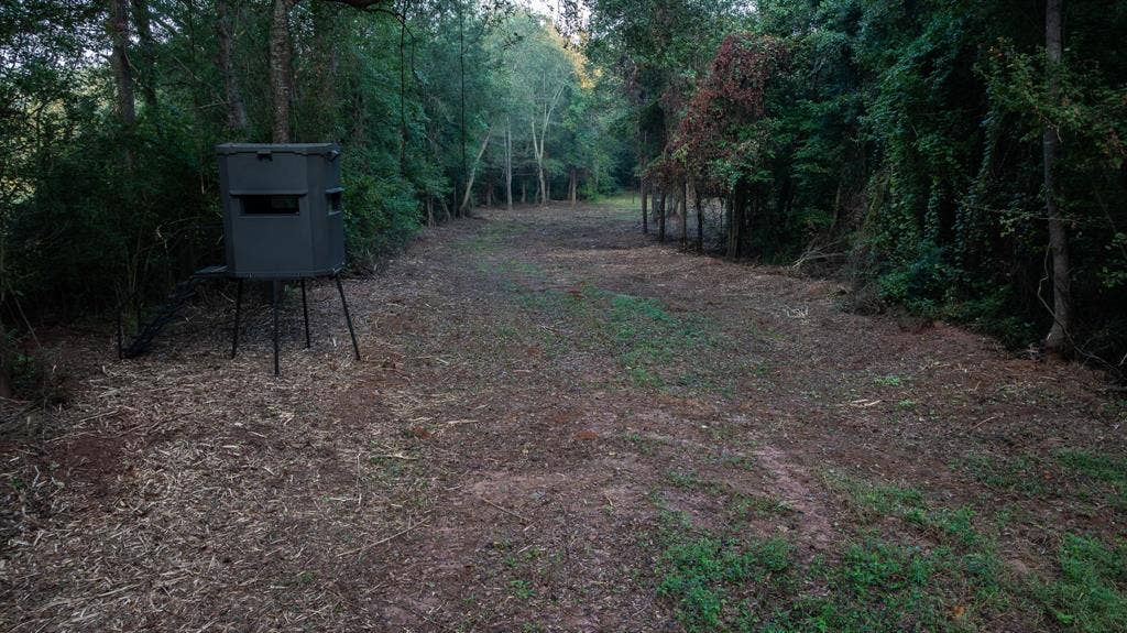 TBD C R 354, Winona, TX 75792 View of wildlife corridor featuring a forest view