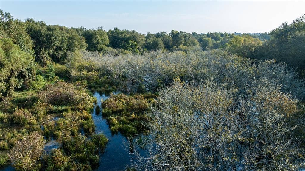 TBD C R 354, Winona, TX 75792 View of undeveloped land featuring a nearby body of water