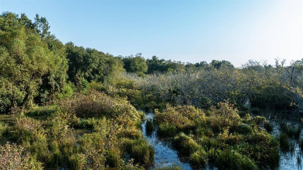 TBD C R 354, Winona, TX 75792 View of local wilderness featuring a large body of water