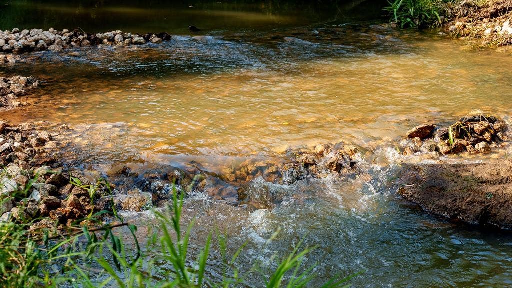 TBD C R 354, Winona, TX 75792 Harris Creek flows from the Northeast corner to the Southwest corner.