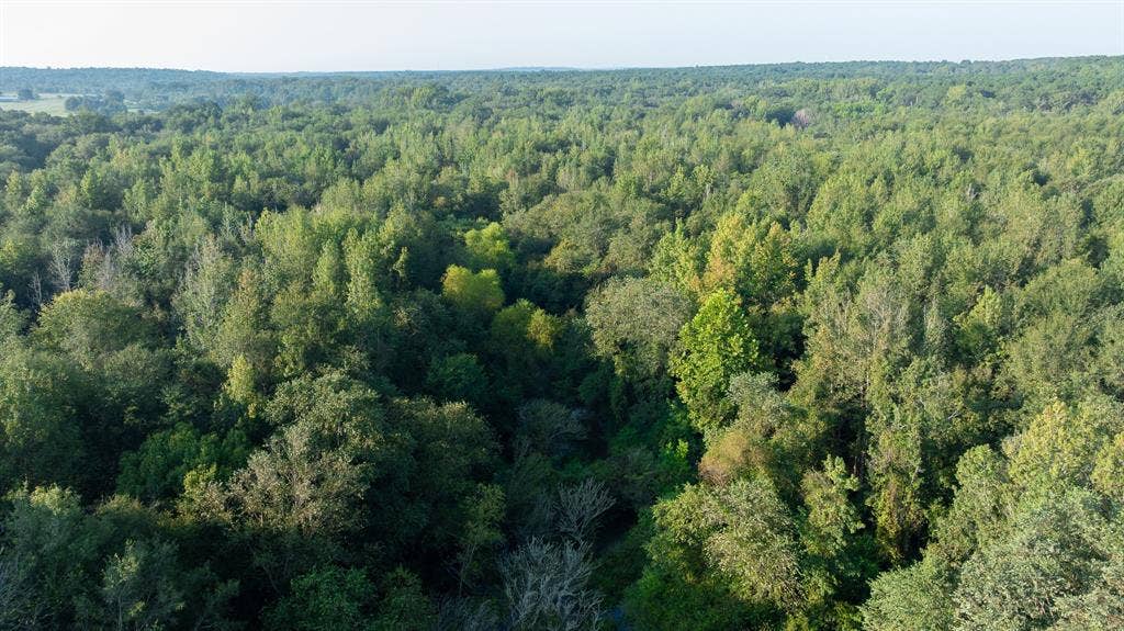 TBD C R 354, Winona, TX 75792 Aerial view of property and surrounding area with a forest