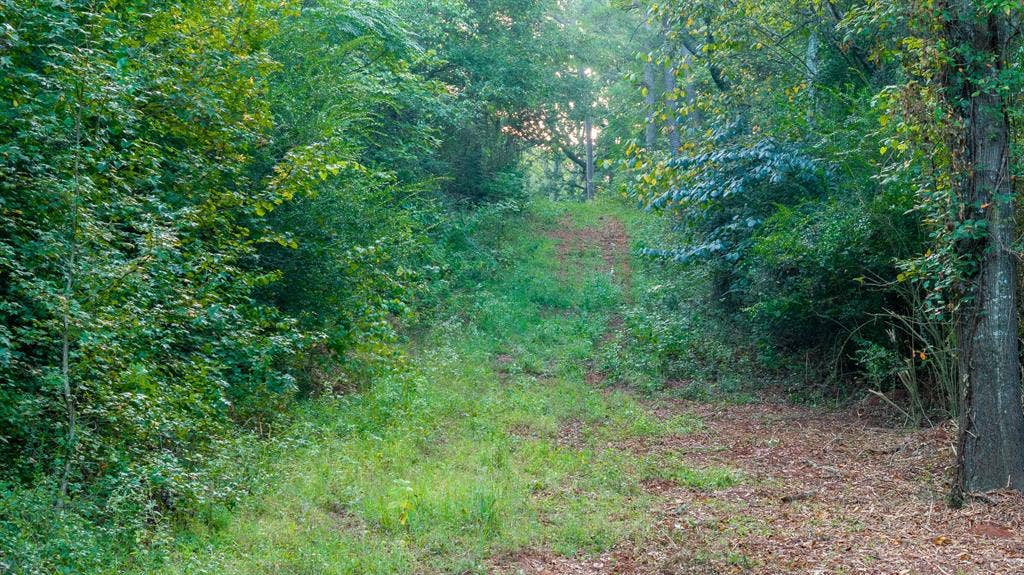 TBD C R 354, Winona, TX 75792 View of access trails and forest