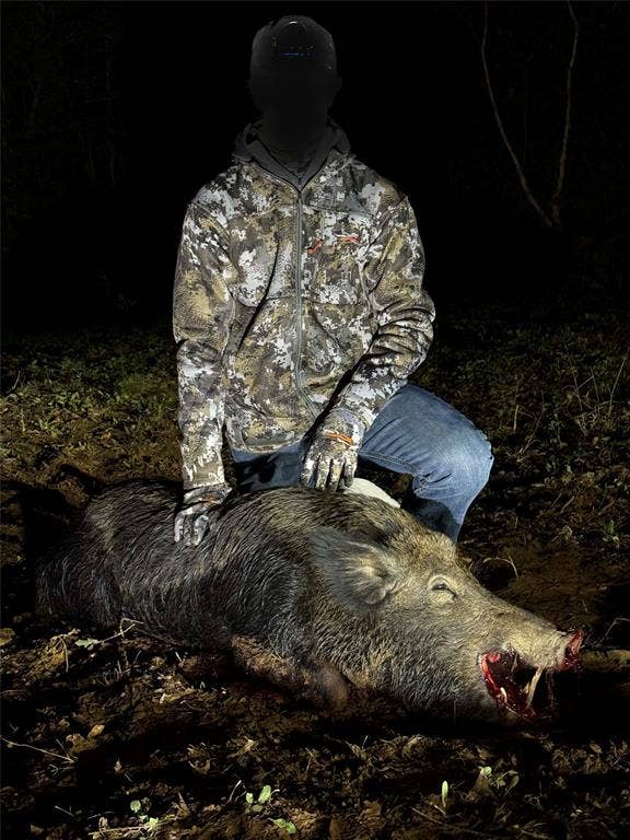 TBD C R 354, Winona, TX 75792 Wild hog hunt success on East TX Hunting Land for Sale in Winona TX