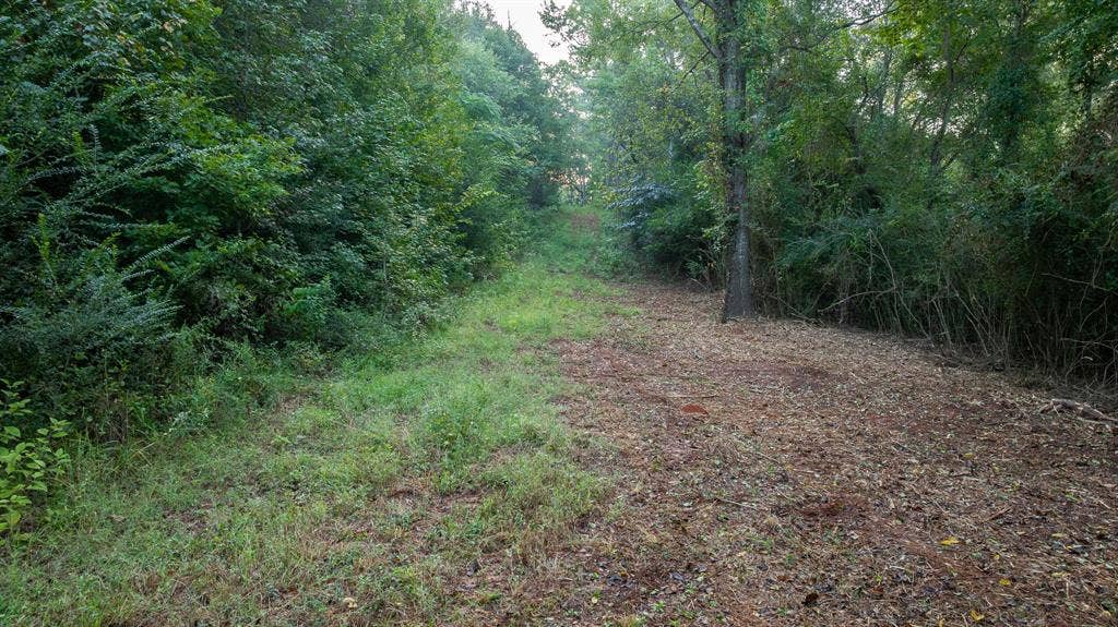 TBD C R 354, Winona, TX 75792 View of undeveloped land