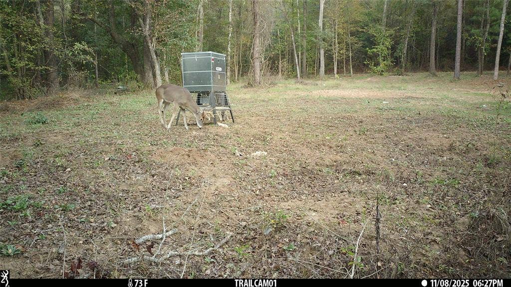 TBD C R 354, Winona, TX 75792 Whitetail Buck on East TX Hunting Land for Sale in Winona TX
