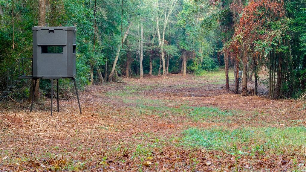 TBD C R 354, Winona, TX 75792 View of wildlife stand in wildlife travel corridor