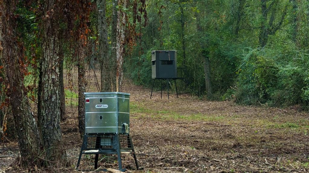 TBD C R 354, Winona, TX 75792 View of mulched trail with feeder and stand in forest