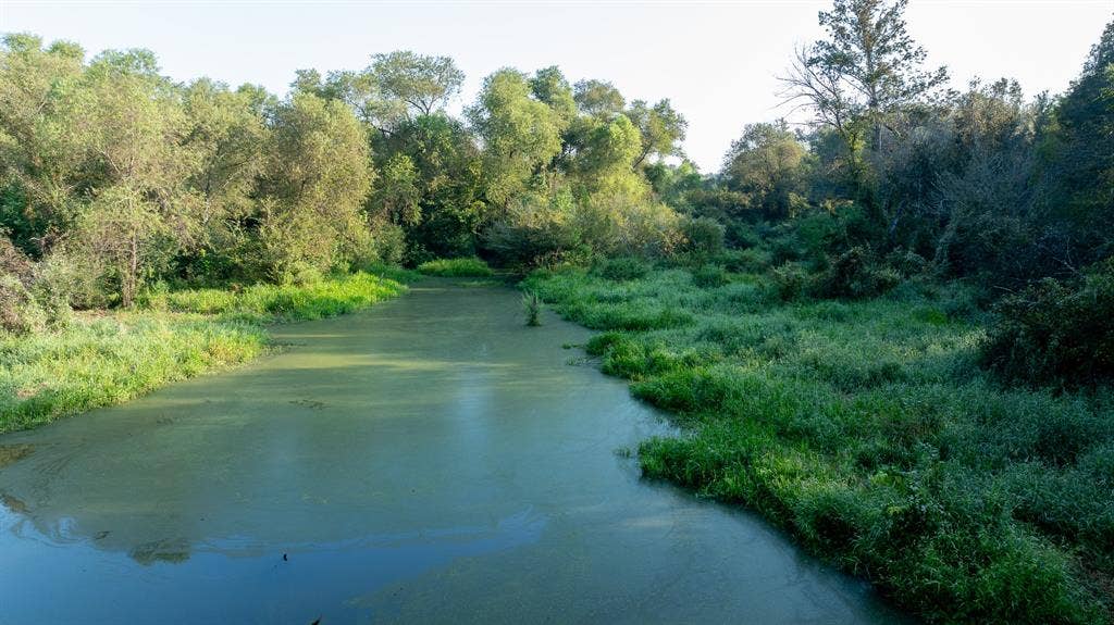 TBD C R 354, Winona, TX 75792 Water view for duck hunting