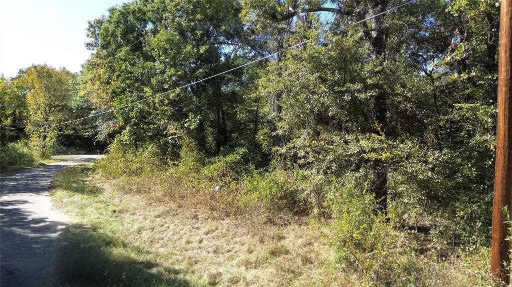 199 Coahoma Street, Mabank, TX 75156 199 Coahoma Street, Mabank, TX 75156
