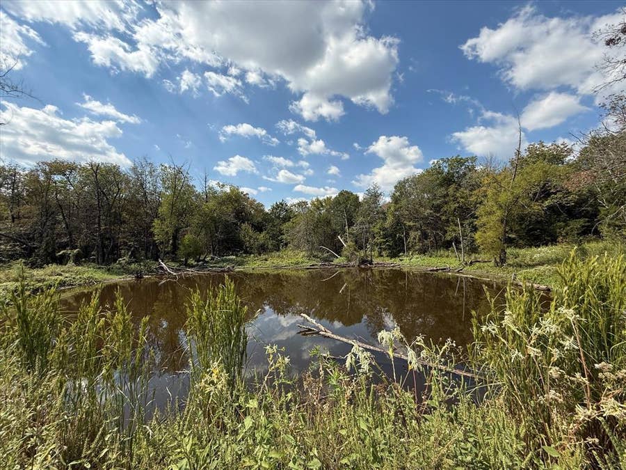 Property photo for 16043 County Road-339, Terrell, TX
