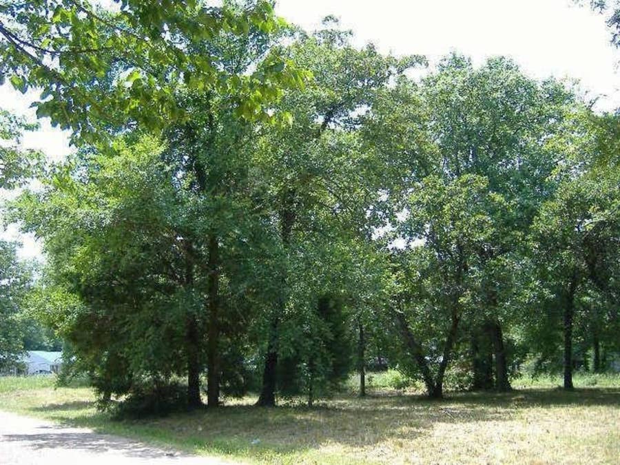 Property photo for 66 Westwind Road, Tool, TX