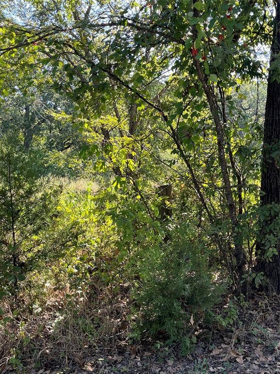 Property photo for 00 Pinewood Drive, Hawk Cove, TX
