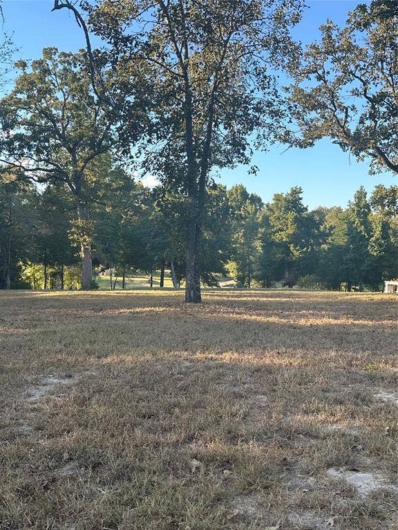 5331 Impala South Road, Athens, TX 75752 View of yard