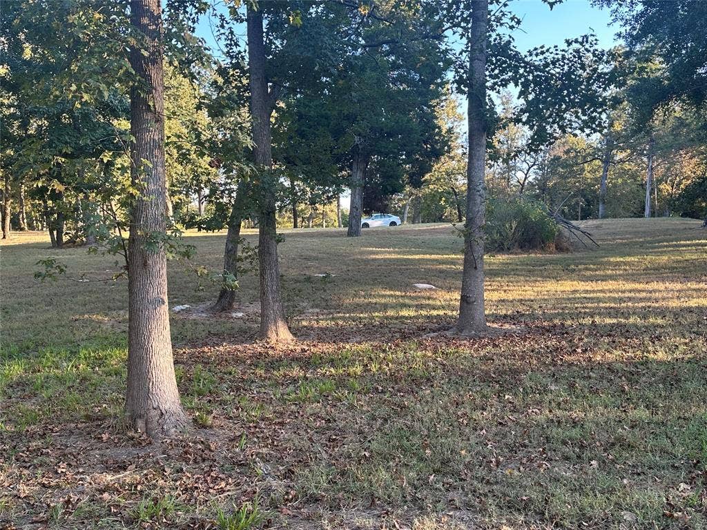 5331 Impala South Road, Athens, TX 75752 view of lot from lake