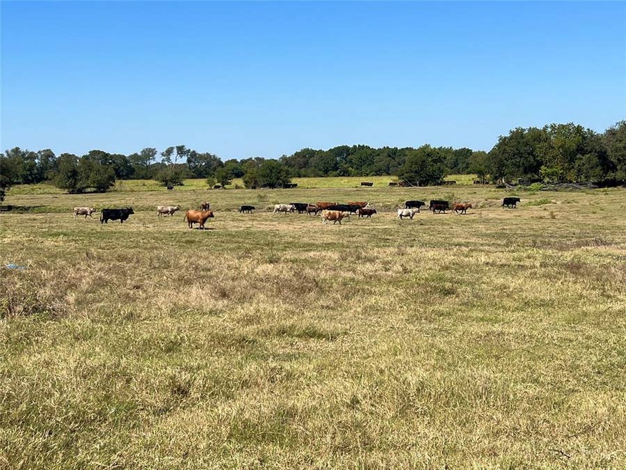 Property photo for TBD 1368 acres Lowell Road, Milford, TX
