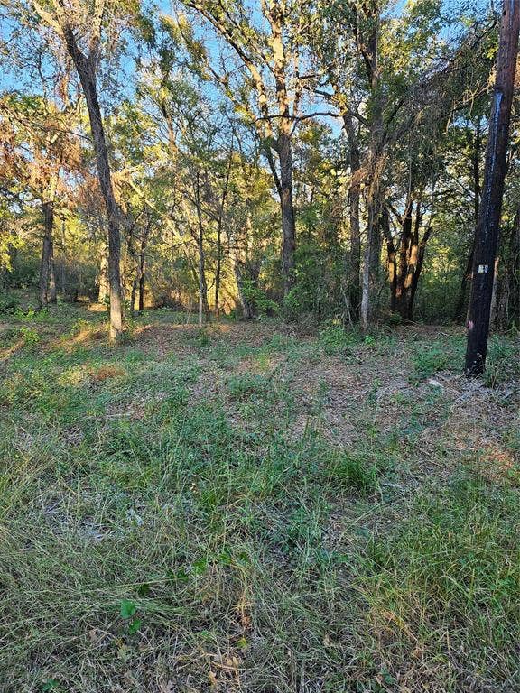 Property photo for 0 Ravenwood Drive, Trinidad, TX