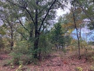 Property photo for TBD Lot 16 Westwood Drive, Trinidad, TX