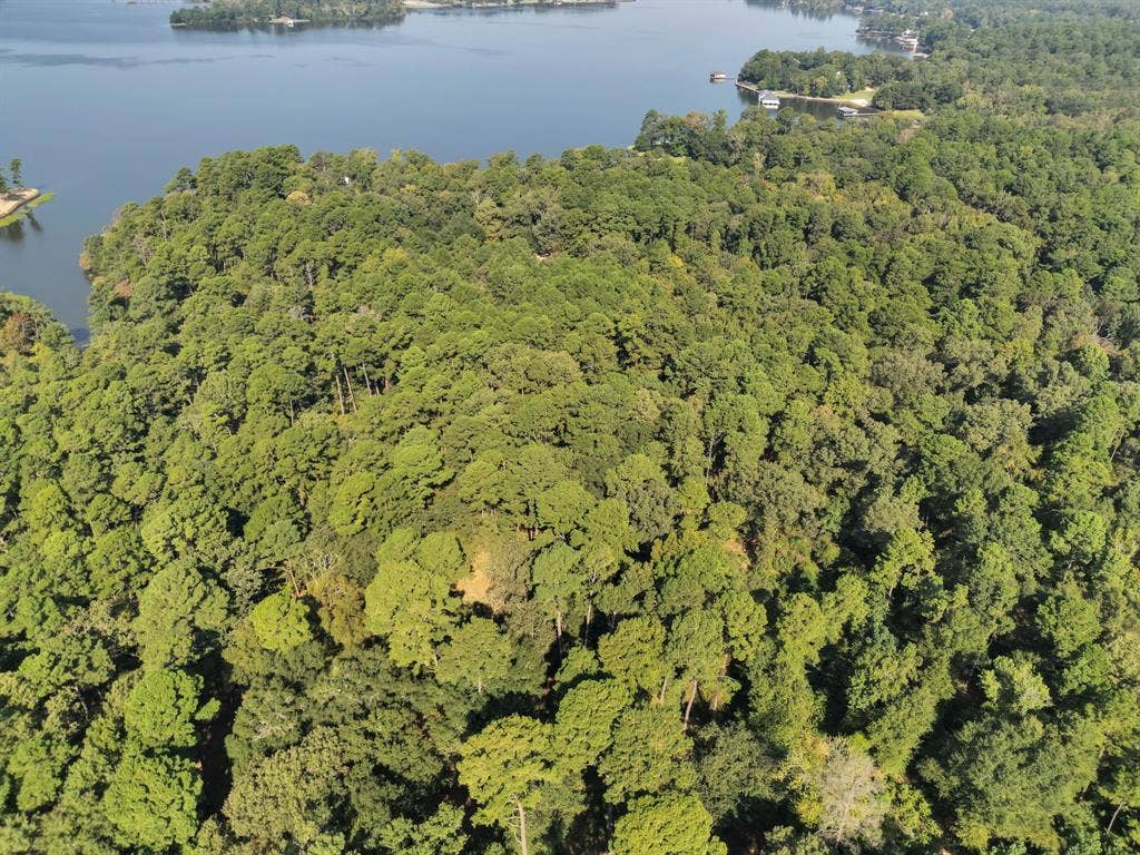 Lot 20-C Eastside Road, Tyler, TX 75707 View of property location featuring a large body of water and a forest