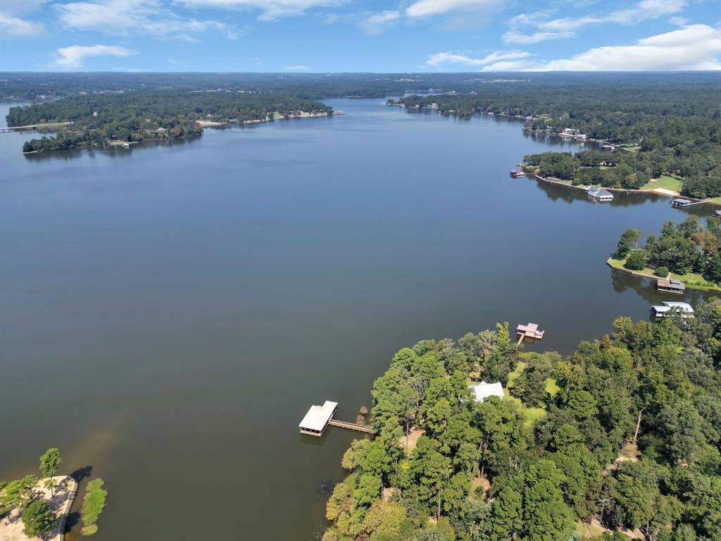 Lot 20-C Eastside Road, Tyler, TX 75707 Bird's eye view of a forest and a large body of water