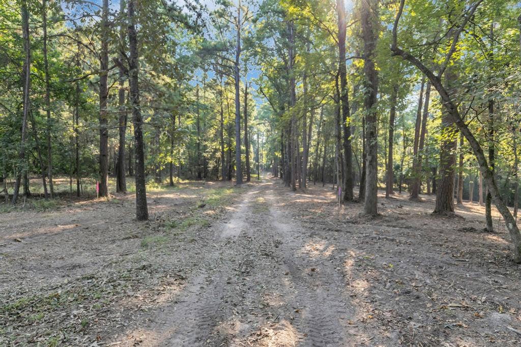 Lot 20-C Eastside Road, Tyler, TX 75707 View of dirt / gravel road with a view of trees