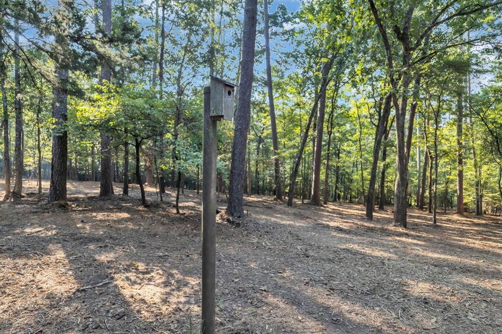 Lot 20-C Eastside Road, Tyler, TX 75707 View of tree filled area