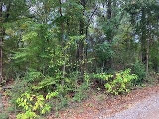 Property photo for TBD Lot 17 Westwood Drive, Trinidad, TX
