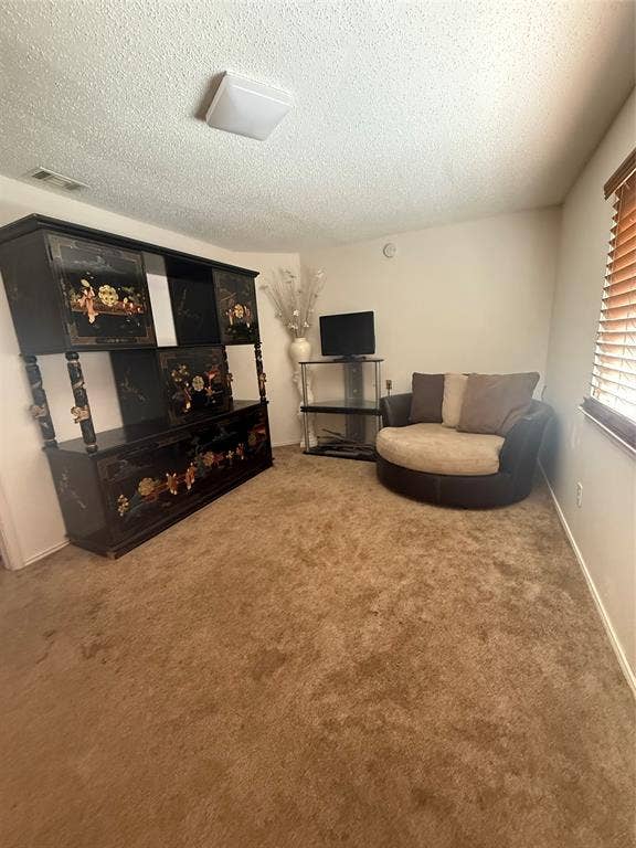 10216 Big Thicket Drive, Dallas, TX 75217 Carpeted living room featuring a textured ceiling