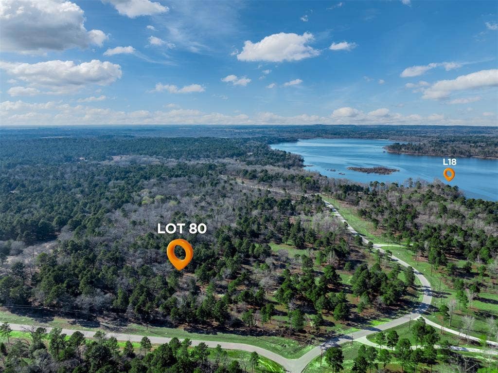 3729 Pinewood Way, Larue, TX 75770 3729 Pinewood Way, Larue, TX 75770