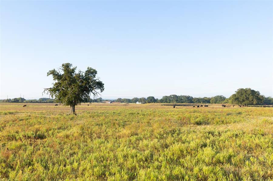 Property photo for TBD Brushy Road, #Tract 1 & 2, Granbury, TX