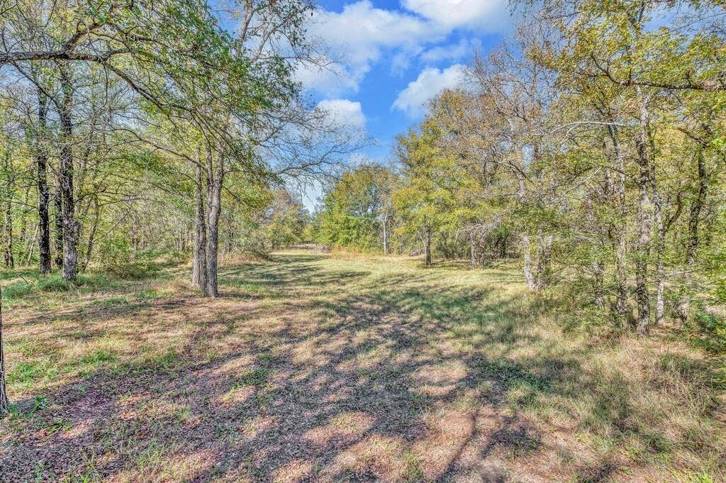 556 Wildwood Trail, Lorena, TX 76655 View of yard
