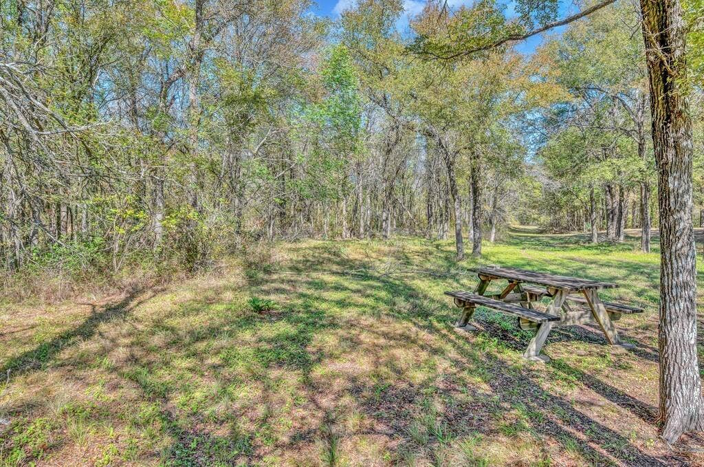 556 Wildwood Trail, Lorena, TX 76655 View of yard
