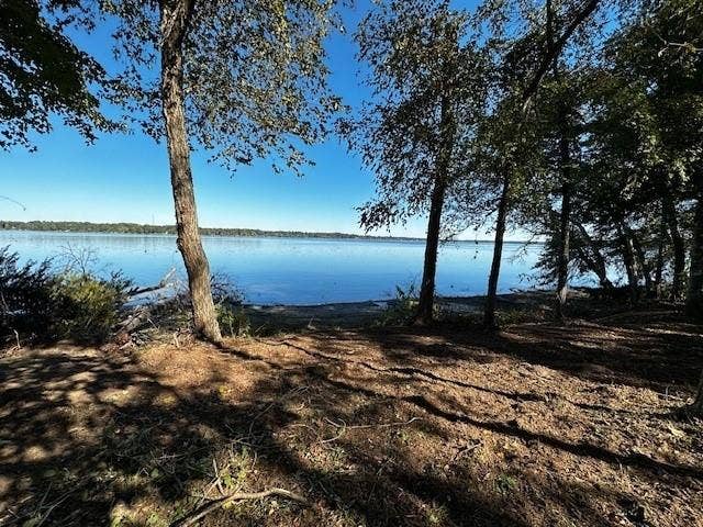 Property photo for 3142 Shadow Pine Drive, Larue, TX