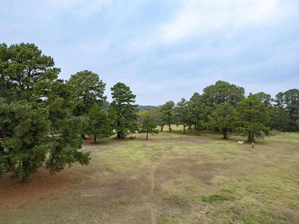 19418 CR 4125, Lindale, TX 75771 View of grassy yard