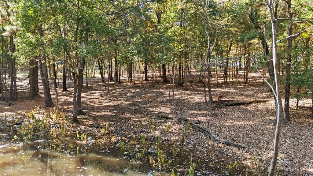 TBD Hickory Trail, Flint, TX 75762 View of tree filled area
