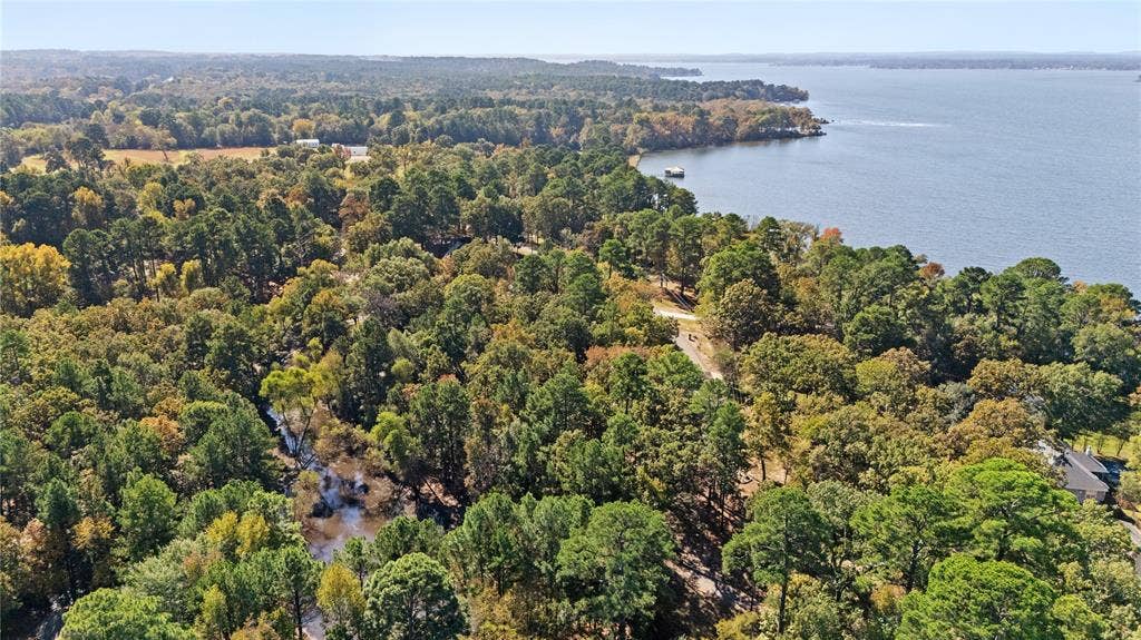 TBD Hickory Trail, Flint, TX 75762 Aerial view of a large body of water and a forest