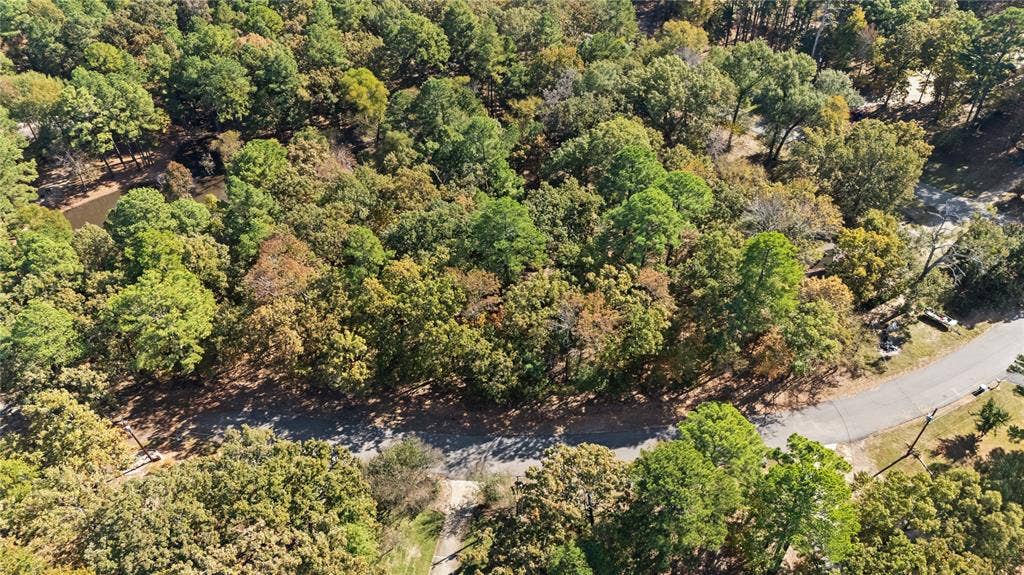 TBD Hickory Trail, Flint, TX 75762 Aerial overview of property's location