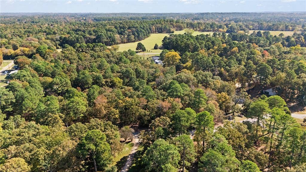 TBD Hickory Trail, Flint, TX 75762 Aerial view of a heavily wooded area
